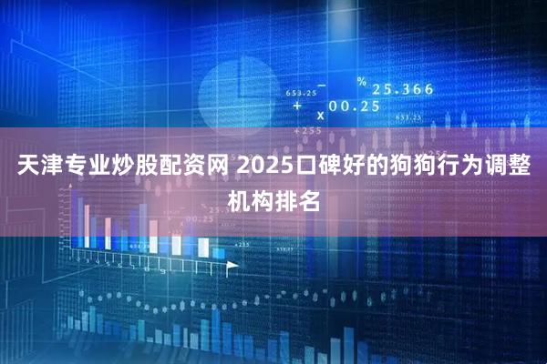 天津专业炒股配资网 2025口碑好的狗狗行为调整机构排名
