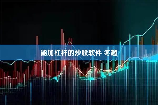 能加杠杆的炒股软件 冬趣