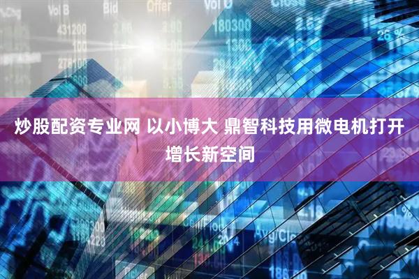 炒股配资专业网 以小博大 鼎智科技用微电机打开增长新空间