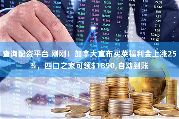 查询配资平台 刚刚！加拿大宣布买菜福利金上涨25%，四口之家可领$1890,自动到账